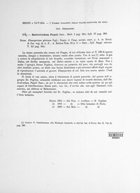 Elsinoe populi image
